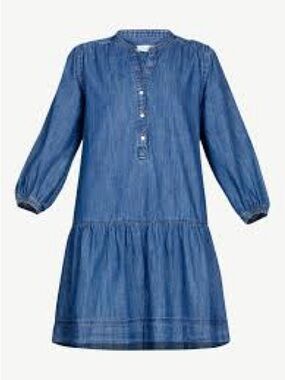 Free Assembly Blue Denim Shirt Dress